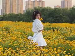 -汉长安城未央宫国家考古遗址公园