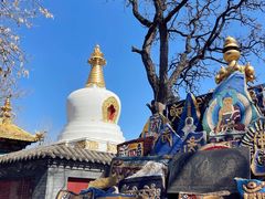 -护国法轮寺