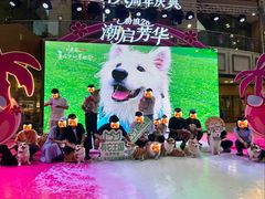 -大商麦凯乐(大连总店)