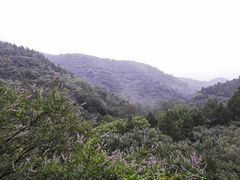 -鬼笑石后山停车场