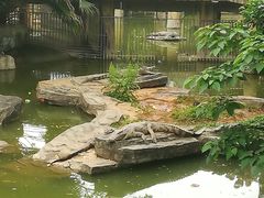 -南昌动物园