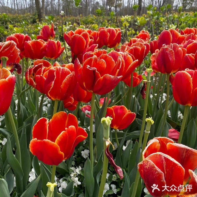 观赏着美丽的风景，春回大地，万物复苏，吸着清新的空气