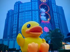 -影汇之星8字形摩天轮