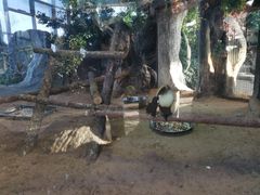 -鄂尔多斯野生动物园