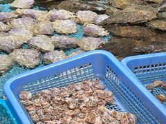 -天福海鲜酒楼·闽菜海鲜·宴请聚会(五四路店)