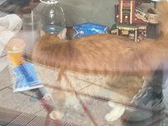 -BGM CLUB二次元主题桌游店(康王路店)