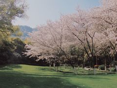 -中国茶叶博物馆(双峰馆区)