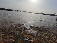 -星海湾跨海大桥