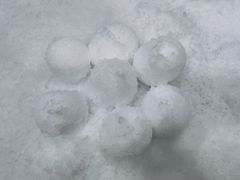 -Mr·Kuma酷么先生雪之乐园