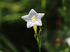 -天芳悦潭度假村温泉