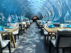 -涛·海底餐厅·美人鱼·自助餐·海底隧道(三亚海棠湾洲际度假酒店)