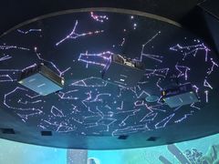 -抱抱地球咖啡馆(国家海洋博物馆店)