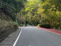 -火炉山森林公园