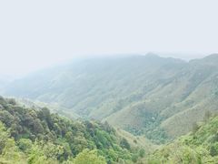 -井冈山风景名胜区-黄洋界
