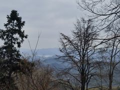 -莫干山风景区