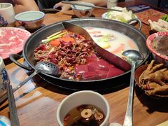 -楠火锅(仁恒梦中心店)