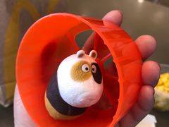 馒头踩飞轮-麦当劳(人民南路店)