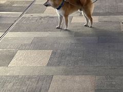 -HALO广场(梨园路店)