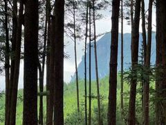 -重庆睡佛山森林公园
