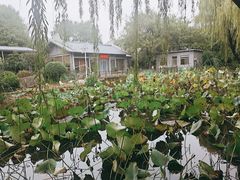 -济南国际园博园