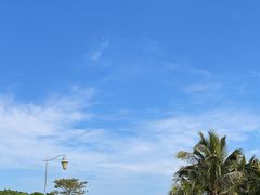 -深圳湾公园(南山区)