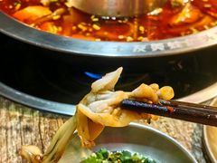 -七友美蛙鱼头火锅(坂田店)