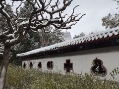 -月坛公园