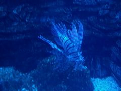 -常州海昌海洋探索馆