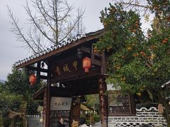 -青城甲(青城山店)