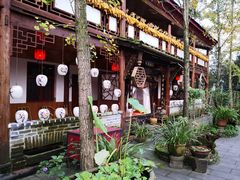 -青城甲(青城山店)