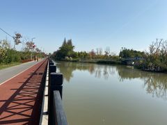 -上海长兴岛郊野公园