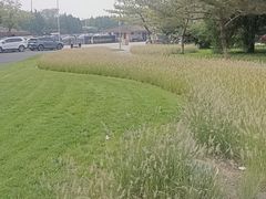 -中国人民抗日战争纪念雕塑园