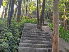 -火炉山森林公园