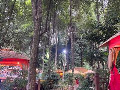 -二荆条·蜀鲜汇城市森林火锅