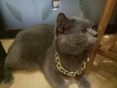 -万小咖.猫咖(中山路天虹店)