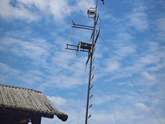 -吴桥杂技大世界