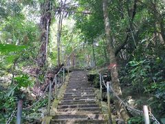 -七仙岭温泉国家森林公园