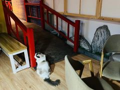 -白兔子密室(长寿路店)