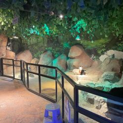 -酷嗒动物文化乐园(cutezoo西溪乐天城店)