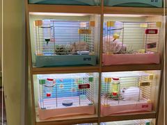 -宠物兔专门店(天丰利市场店)