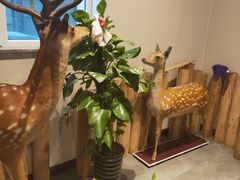 -竹叶涮肉坊(总店)