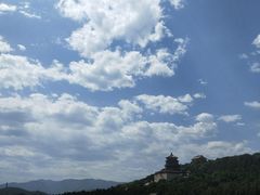 -鲍师傅糕点(西站店)
