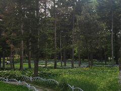 -黑龙江省森林植物园