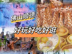 -长鹿旅游休博园