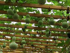 -中国天府农业博览园