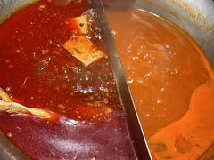 -九鼎轩脆毛肚火锅(三钢里店)