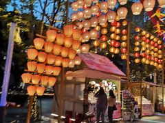 -铁像寺水街