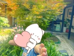 -往来·竹里.宝宝宴.生日宴.团建.宴席(花乡农居店)