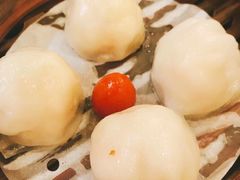 金牌虾饺皇-点都德(大茶楼店)