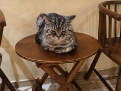 -有猫咖啡umeow coffee